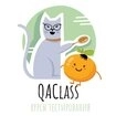 Курс по тестированию QACLASS